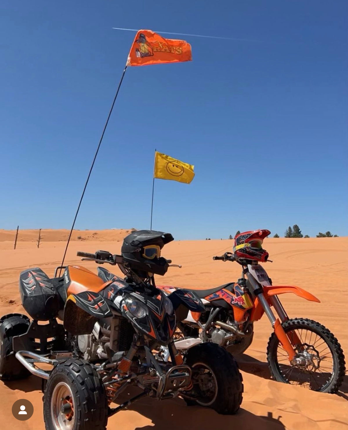 Fab Rats Whip it Flags