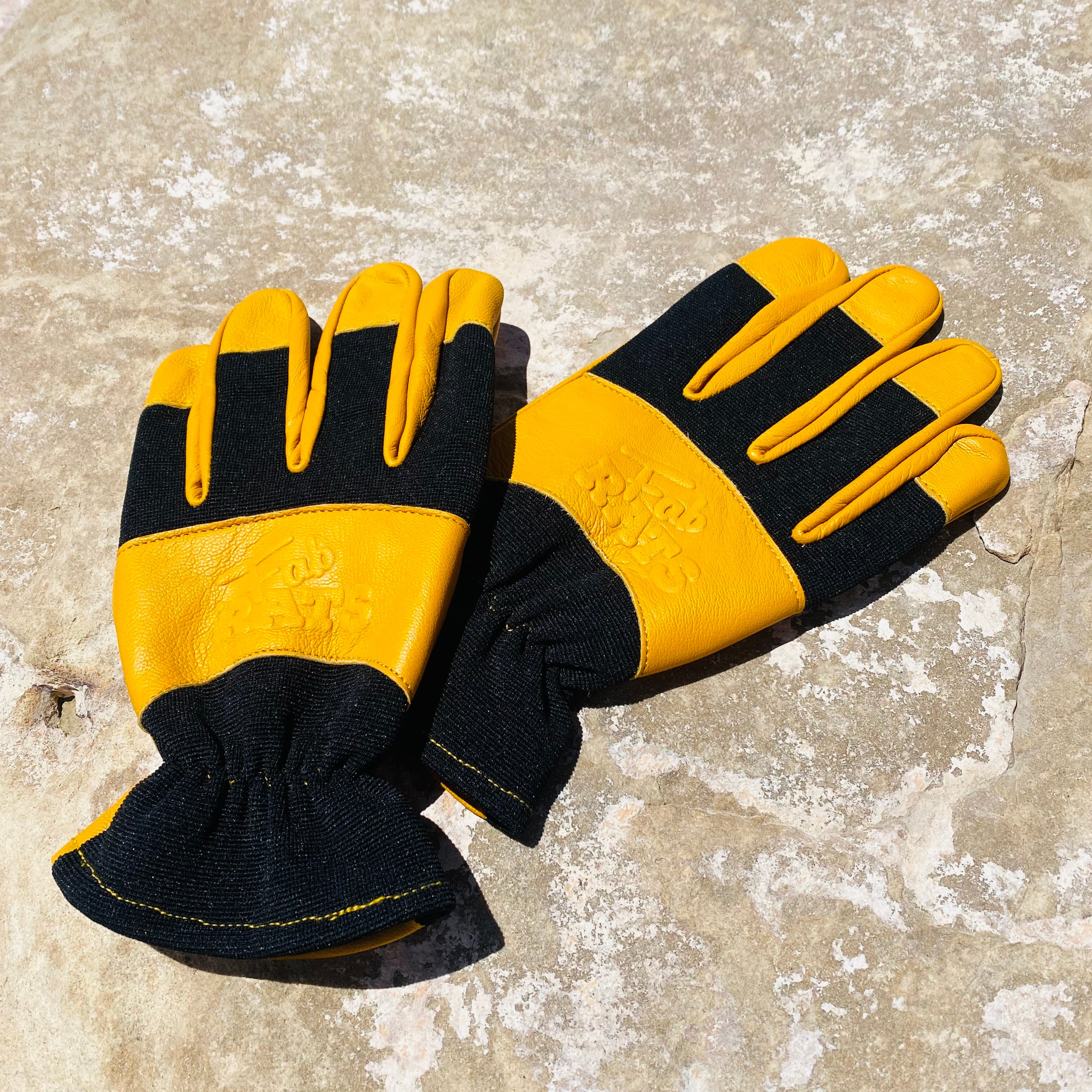 Fab Rats Merch – The Fab Rats